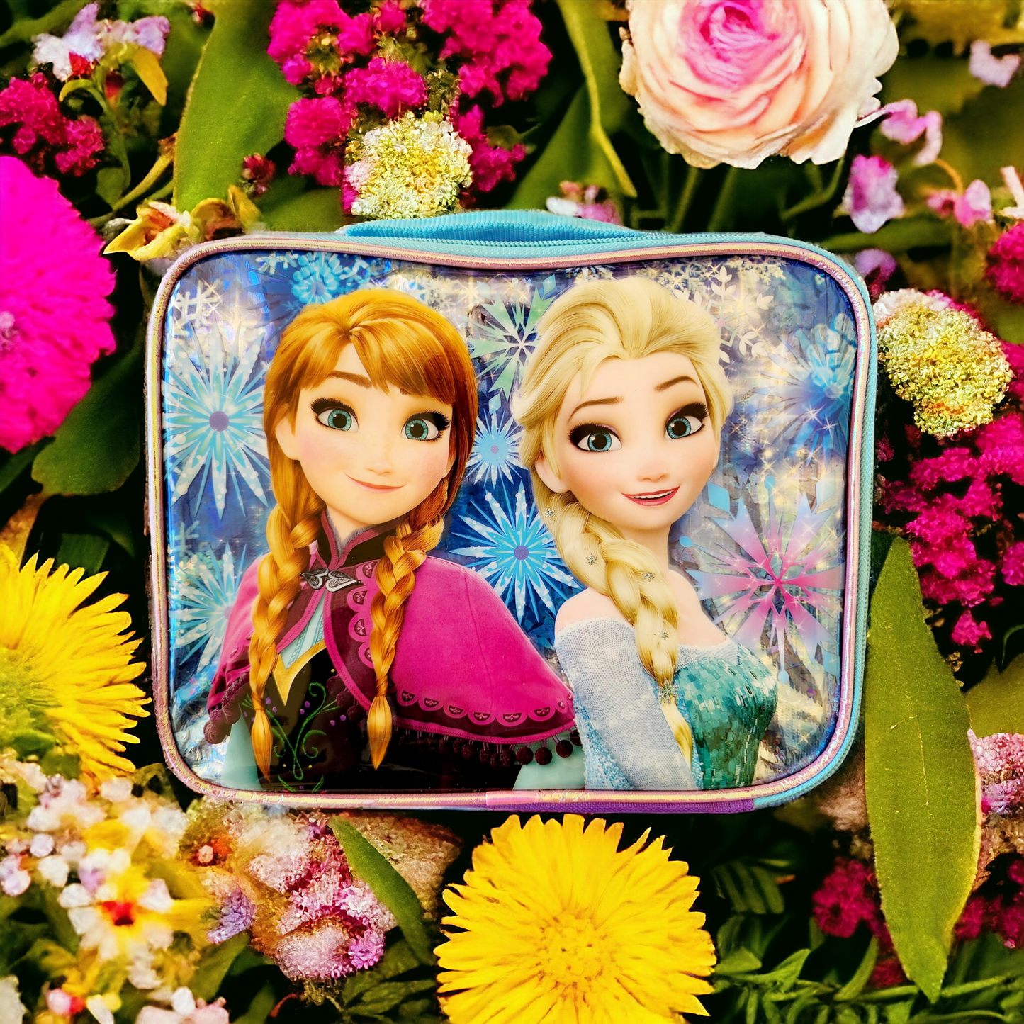 Frozen Lunch Bag